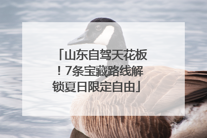 山东自驾天花板！7条宝藏路线解锁夏日限定自由