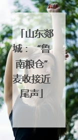 山东郯城：“鲁南粮仓”麦收接近尾声