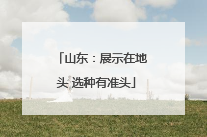 山东：展示在地头 选种有准头