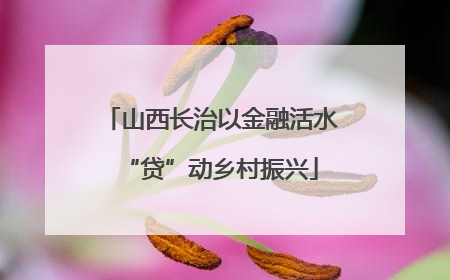山西长治以金融活水“贷”动乡村振兴