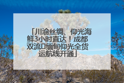 川渝丝绸、仰光海鲜3小时直达！成都双流⇌缅甸仰光全货运航线开通
