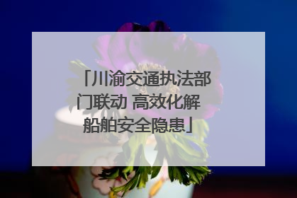 川渝交通执法部门联动 高效化解船舶安全隐患