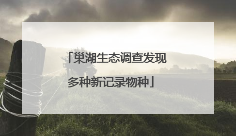 巢湖生态调查发现多种新记录物种