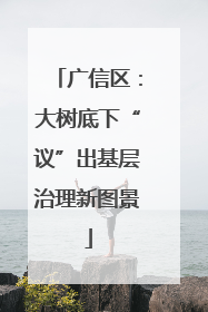 广信区：大树底下“议”出基层治理新图景