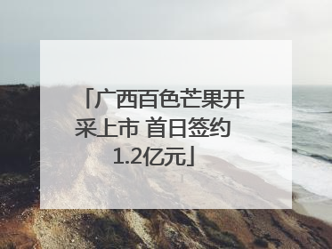 广西百色芒果开采上市 首日签约1.2亿元
