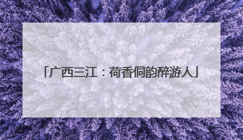 广西三江：荷香侗韵醉游人