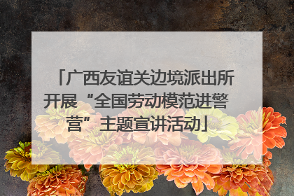广西友谊关边境派出所开展“全国劳动模范进警营”主题宣讲活动
