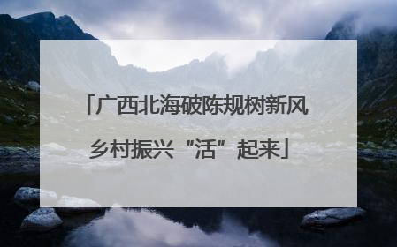 广西北海破陈规树新风 乡村振兴“活”起来