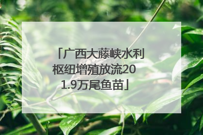 广西大藤峡水利枢纽增殖放流201.9万尾鱼苗