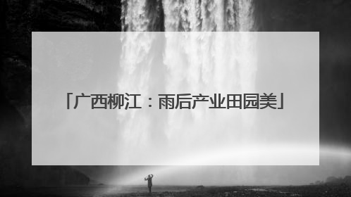 广西柳江：雨后产业田园美