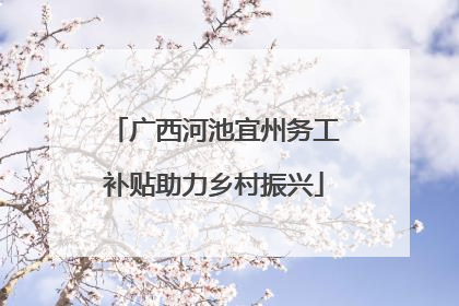 广西河池宜州务工补贴助力乡村振兴