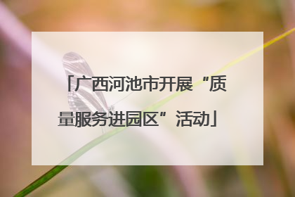广西河池市开展“质量服务进园区”活动