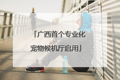 广西首个专业化宠物候机厅启用