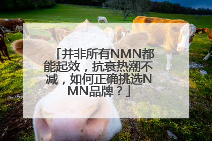 并非所有NMN都能起效，抗衰热潮不减，如何正确挑选NMN品牌？