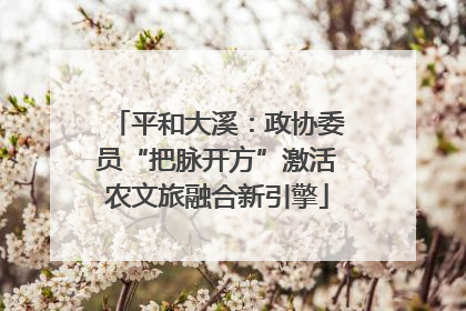 平和大溪：政协委员“把脉开方”激活农文旅融合新引擎