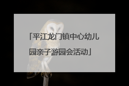 平江龙门镇中心幼儿园亲子游园会活动