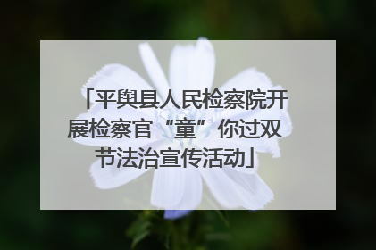 平舆县人民检察院开展检察官“童”你过双节法治宣传活动