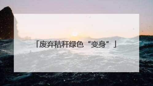 废弃秸秆绿色“变身”