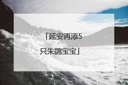 延安再添5只朱鹮宝宝