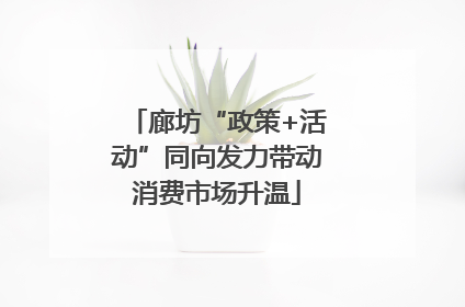 廊坊“政策+活动”同向发力带动消费市场升温