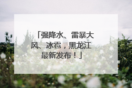 强降水、雷暴大风、冰雹，黑龙江最新发布！