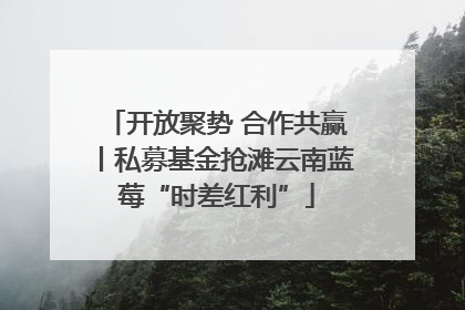 开放聚势 合作共赢丨私募基金抢滩云南蓝莓“时差红利”