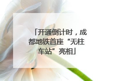 开通倒计时，成都地铁首座“无柱车站”亮相