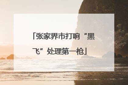 张家界市打响“黑飞”处理第一枪