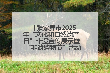 张家界市2025年“文化和自然遗产日”非遗宣传展示暨“非遗购物节”活动在慈利县盛大启幕