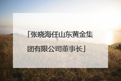 张晓海任山东黄金集团有限公司董事长