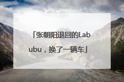 张朝阳退回的Labubu，换了一辆车