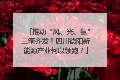 推动“风、光、氢”三箭齐发！四川德阳新能源产业何以领跑？
