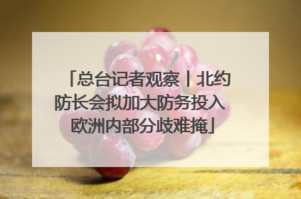 总台记者观察丨北约防长会拟加大防务投入 欧洲内部分歧难掩