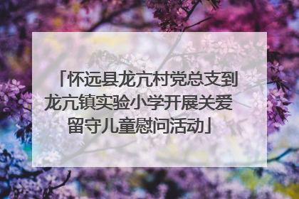 怀远县龙亢村党总支到龙亢镇实验小学开展关爱留守儿童慰问活动