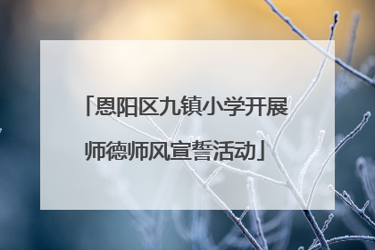 恩阳区九镇小学开展师德师风宣誓活动