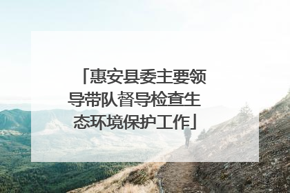 惠安县委主要领导带队督导检查生态环境保护工作