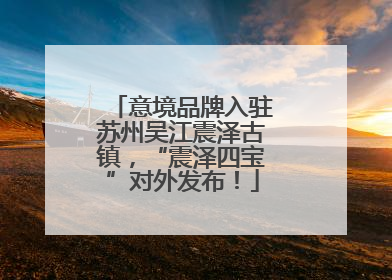 意境品牌入驻苏州吴江震泽古镇，“震泽四宝”对外发布！