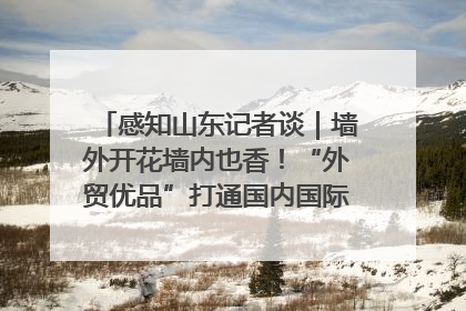 感知山东记者谈｜墙外开花墙内也香！“外贸优品”打通国内国际市场“旋转门”