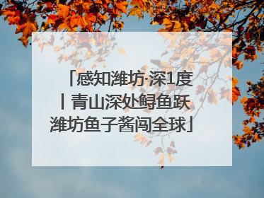 感知潍坊·深1度丨青山深处鲟鱼跃 潍坊鱼子酱闯全球