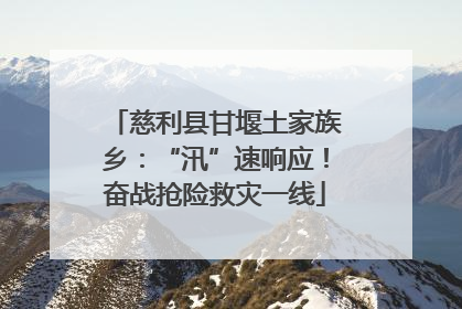慈利县甘堰土家族乡：“汛”速响应！奋战抢险救灾一线