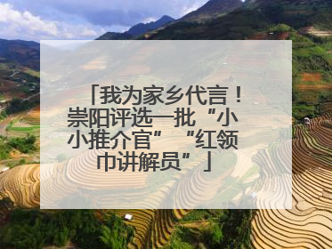 我为家乡代言！崇阳评选一批“小小推介官”“红领巾讲解员”
