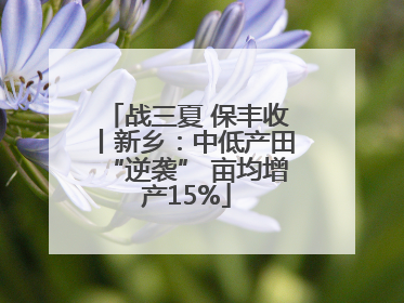 战三夏 保丰收丨新乡：中低产田“逆袭” 亩均增产15%