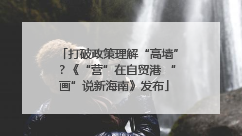 打破政策理解“高墙”？《“营”在自贸港 “画”说新海南》发布
