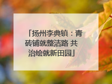 扬州李典镇：青砖铺就整洁路 共治绘就新田园