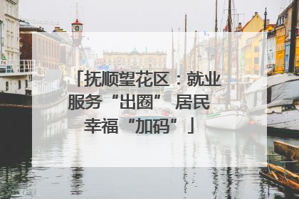 抚顺望花区：就业服务“出圈” 居民幸福“加码”