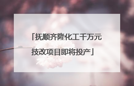 抚顺齐隆化工千万元技改项目即将投产