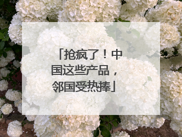 抢疯了！中国这些产品，邻国受热捧
