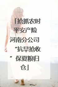 抢抓农时 平安产险河南分公司“抗旱抢收”保夏粮归仓