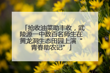 抢收油菜助丰收，武陵源一中数百名师生在黄龙洞生态田园上演“青春助农记”