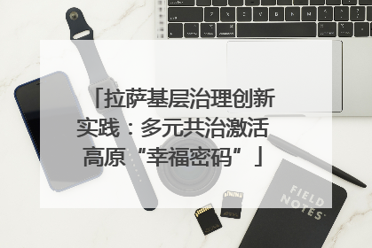 拉萨基层治理创新实践：多元共治激活高原“幸福密码”